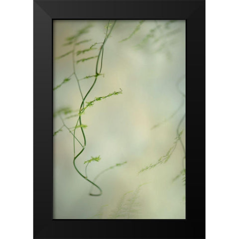 Soft Adagio 2 Black Modern Wood Framed Art Print by Poinski, Dianne