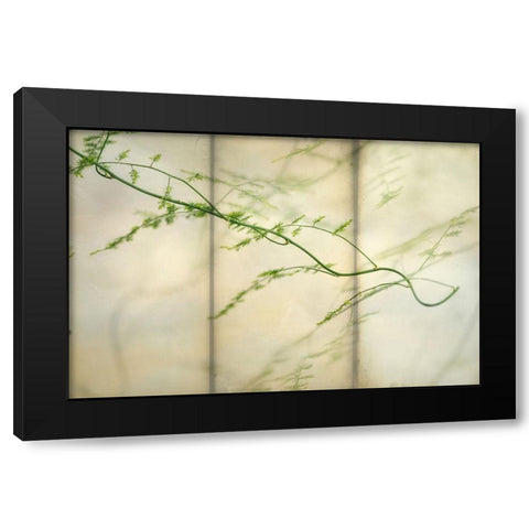 Delicate Light 2 Black Modern Wood Framed Art Print with Double Matting by Poinski, Dianne