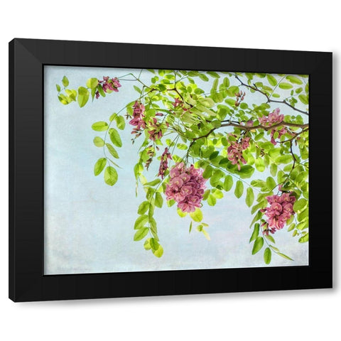 Looking up Black Modern Wood Framed Art Print with Double Matting by Poinski, Dianne