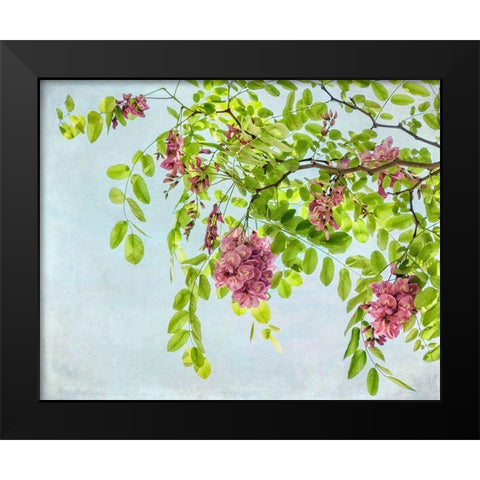 Looking up Black Modern Wood Framed Art Print by Poinski, Dianne