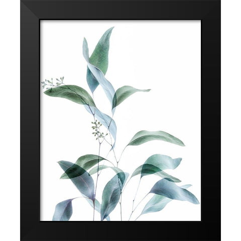 Gentle Botanical 1 Black Modern Wood Framed Art Print by Poinski, Dianne