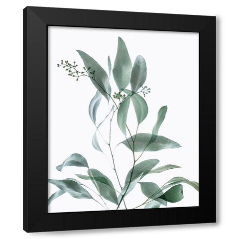Gentle Botanical 3 Black Modern Wood Framed Art Print with Double Matting by Poinski, Dianne