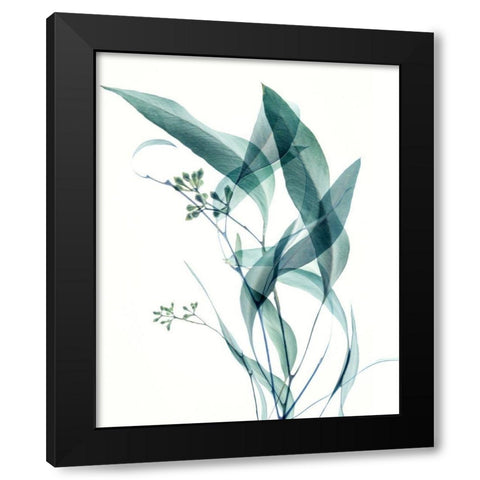 Gentle Botanical 4 Black Modern Wood Framed Art Print with Double Matting by Poinski, Dianne