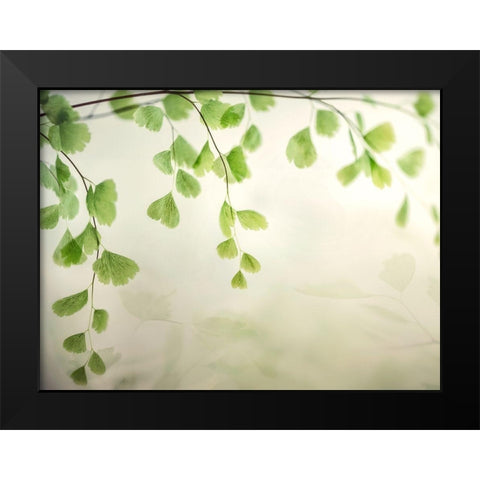 Petit Feuilles 1 Black Modern Wood Framed Art Print by Poinski, Dianne