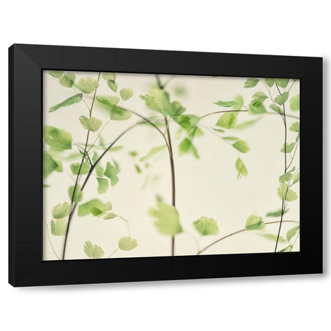 Petit Feuilles 2 Black Modern Wood Framed Art Print with Double Matting by Poinski, Dianne