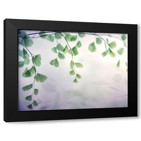 Fallen 1 Black Modern Wood Framed Art Print by Poinski, Dianne