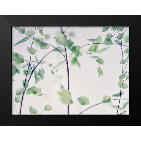 Fallen 2 Black Modern Wood Framed Art Print by Poinski, Dianne