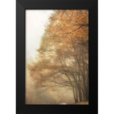 Woods Edge 2 Black Modern Wood Framed Art Print by Poinski, Dianne
