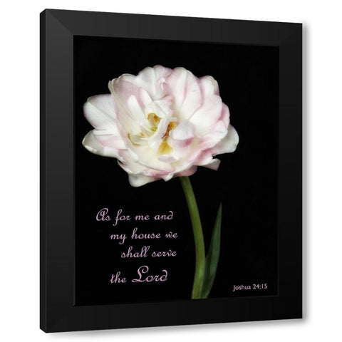 Perfect Petals 2 Black Modern Wood Framed Art Print with Double Matting by Poinski, Dianne