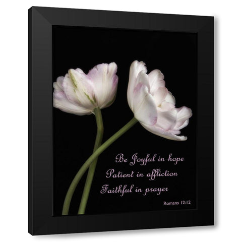 Perfect Petals 3 Black Modern Wood Framed Art Print with Double Matting by Poinski, Dianne