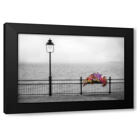 Bouquet in the Mist Black Modern Wood Framed Art Print by Poinski, Dianne