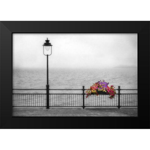 Bouquet in the Mist Black Modern Wood Framed Art Print by Poinski, Dianne