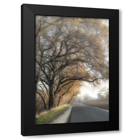 The Road Less Traveled 1 Black Modern Wood Framed Art Print by Poinski, Dianne
