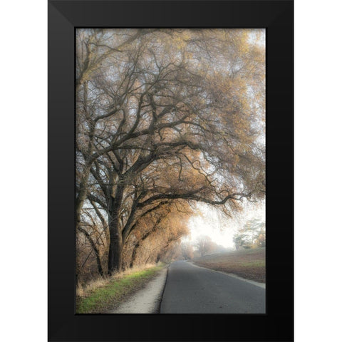The Road Less Traveled 1 Black Modern Wood Framed Art Print by Poinski, Dianne