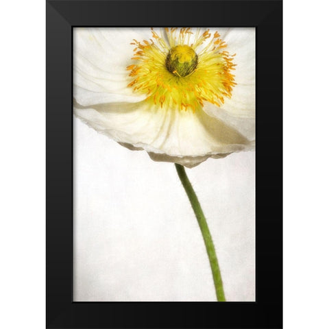 Alabaster Flutter 2 Black Modern Wood Framed Art Print by Poinski, Dianne