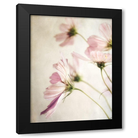 Petite Blush 3 Black Modern Wood Framed Art Print with Double Matting by Poinski, Dianne