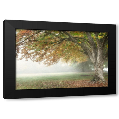 The Meadow 2 Black Modern Wood Framed Art Print by Poinski, Dianne