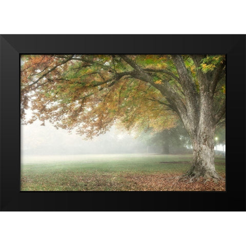 The Meadow 2 Black Modern Wood Framed Art Print by Poinski, Dianne