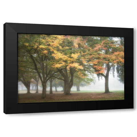 The Meadow 3 Black Modern Wood Framed Art Print by Poinski, Dianne