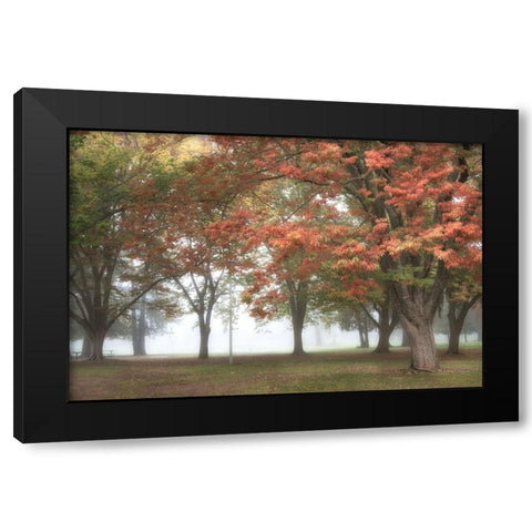 The Meadow 4 Black Modern Wood Framed Art Print with Double Matting by Poinski, Dianne
