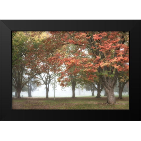 The Meadow 4 Black Modern Wood Framed Art Print by Poinski, Dianne