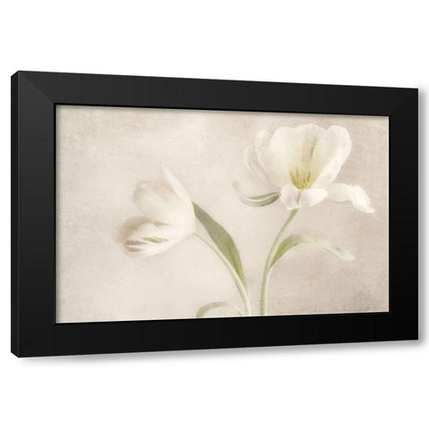Whispering White I Black Modern Wood Framed Art Print with Double Matting by Poinski, Dianne