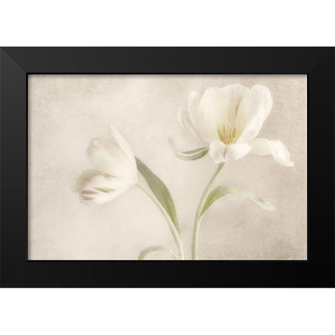 Whispering White I Black Modern Wood Framed Art Print by Poinski, Dianne