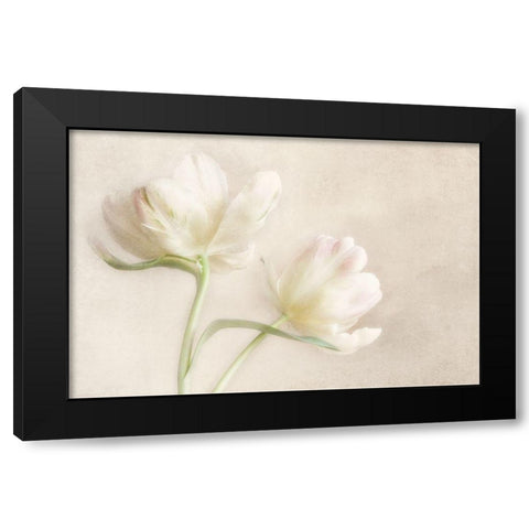 Whispering White II Black Modern Wood Framed Art Print with Double Matting by Poinski, Dianne