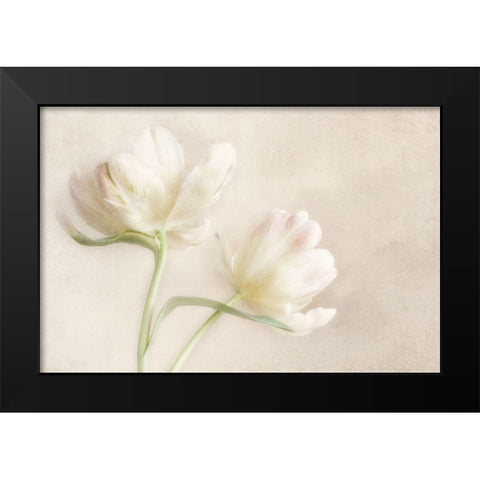 Whispering White II Black Modern Wood Framed Art Print by Poinski, Dianne