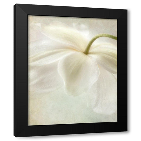 Spring Bonnet II Black Modern Wood Framed Art Print by Poinski, Dianne
