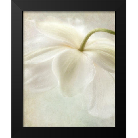 Spring Bonnet II Black Modern Wood Framed Art Print by Poinski, Dianne