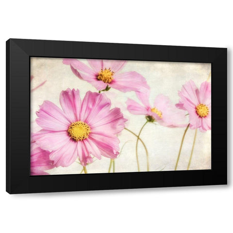 Pink Dainties 6 Black Modern Wood Framed Art Print with Double Matting by Poinski, Dianne