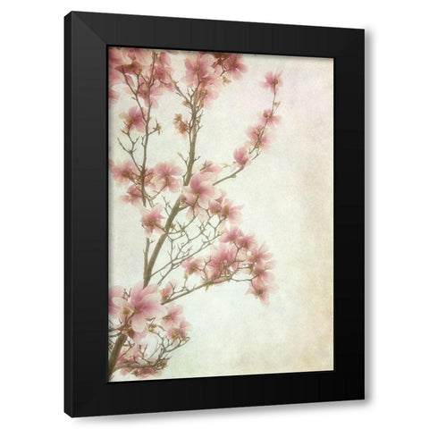 Pinker II Black Modern Wood Framed Art Print by Poinski, Dianne