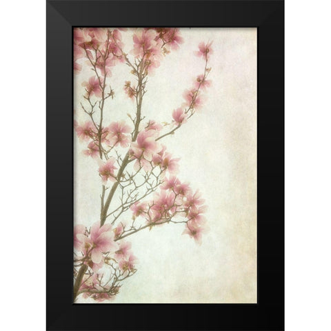 Pinker II Black Modern Wood Framed Art Print by Poinski, Dianne