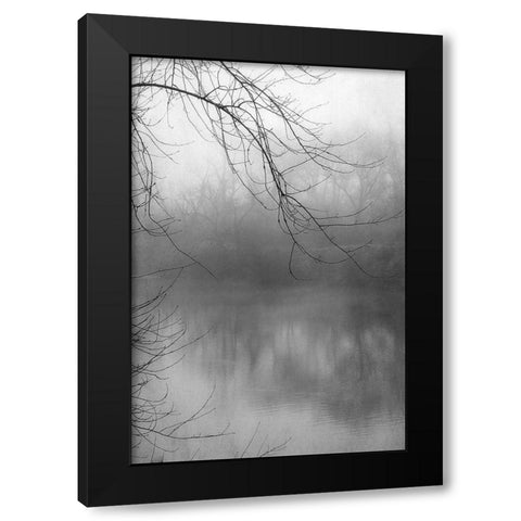 Misty Pond 1 BW Black Modern Wood Framed Art Print with Double Matting by Poinski, Dianne