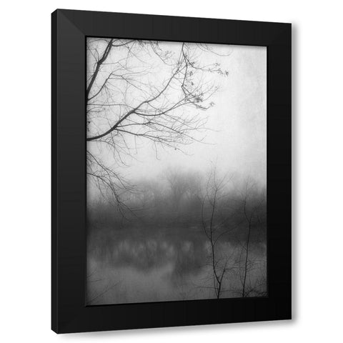 Misty Pond 2 BW Black Modern Wood Framed Art Print with Double Matting by Poinski, Dianne