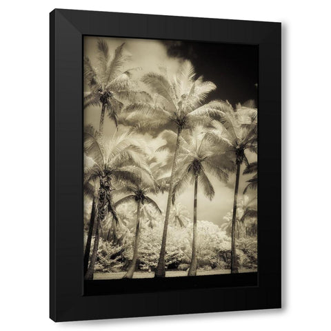 White Palms 1 Black Modern Wood Framed Art Print by Poinski, Dianne