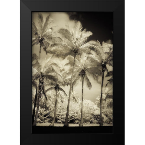 White Palms 1 Black Modern Wood Framed Art Print by Poinski, Dianne