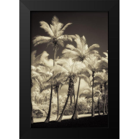 White Palms 2 Black Modern Wood Framed Art Print by Poinski, Dianne
