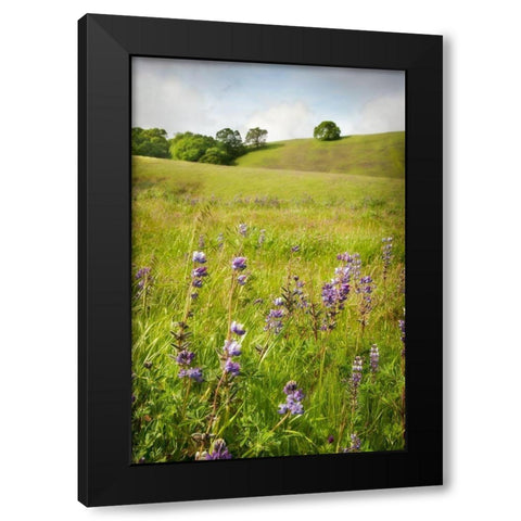 Wildflower Hill 3 Black Modern Wood Framed Art Print by Poinski, Dianne