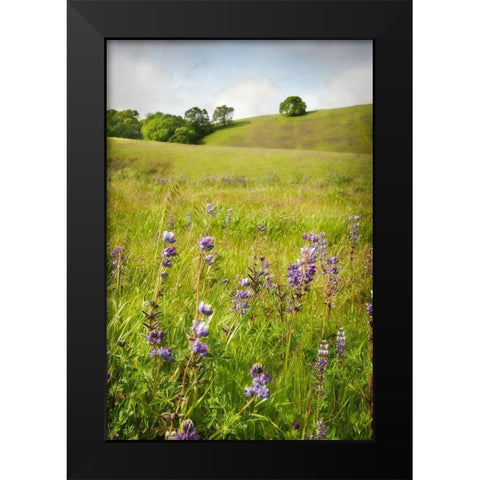 Wildflower Hill 3 Black Modern Wood Framed Art Print by Poinski, Dianne