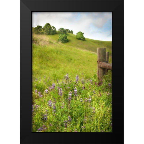 Wildflower Hill 4 Black Modern Wood Framed Art Print by Poinski, Dianne