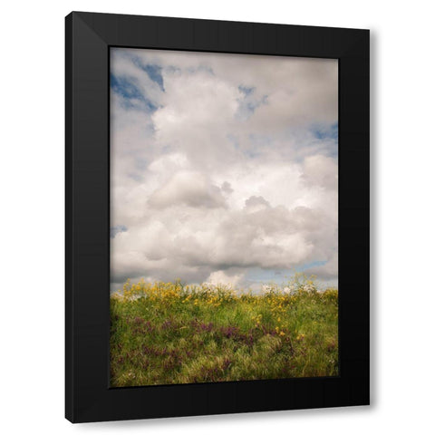 Blue Sky Vista 1 Black Modern Wood Framed Art Print by Poinski, Dianne