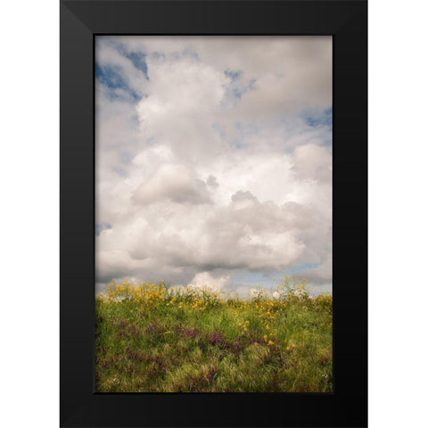 Blue Sky Vista 1 Black Modern Wood Framed Art Print by Poinski, Dianne