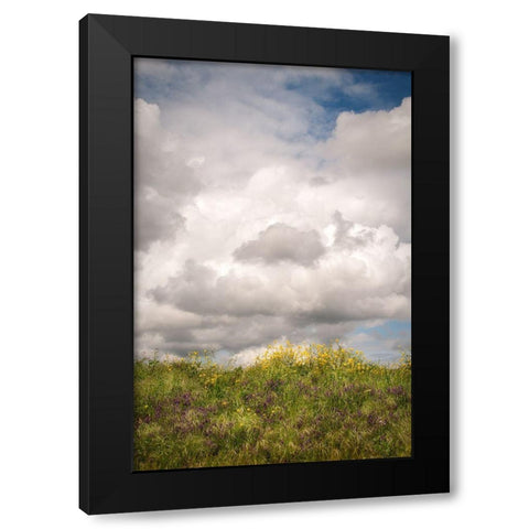 Blue Sky Vista 2 Black Modern Wood Framed Art Print by Poinski, Dianne
