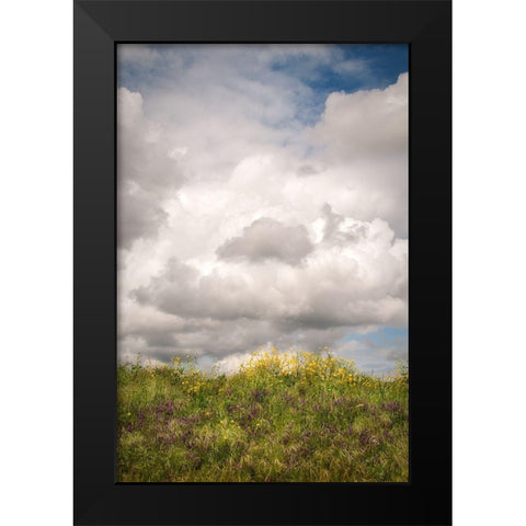 Blue Sky Vista 2 Black Modern Wood Framed Art Print by Poinski, Dianne
