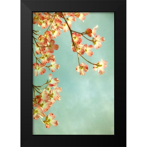 Pink Petals 3 Black Modern Wood Framed Art Print by Poinski, Dianne