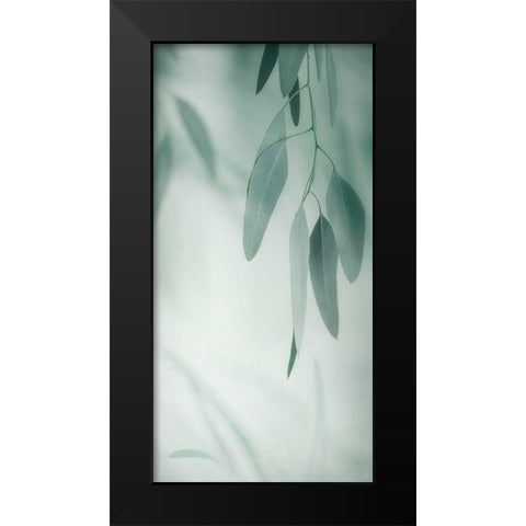 Depth Variation 1 Black Modern Wood Framed Art Print by Poinski, Dianne