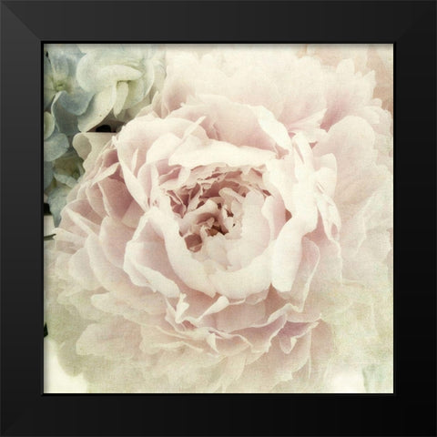 Peony 3 Black Modern Wood Framed Art Print by Poinski, Dianne