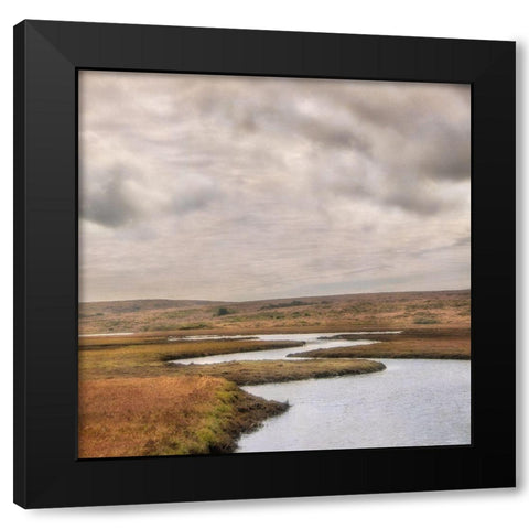 Estuary I Black Modern Wood Framed Art Print with Double Matting by Poinski, Dianne